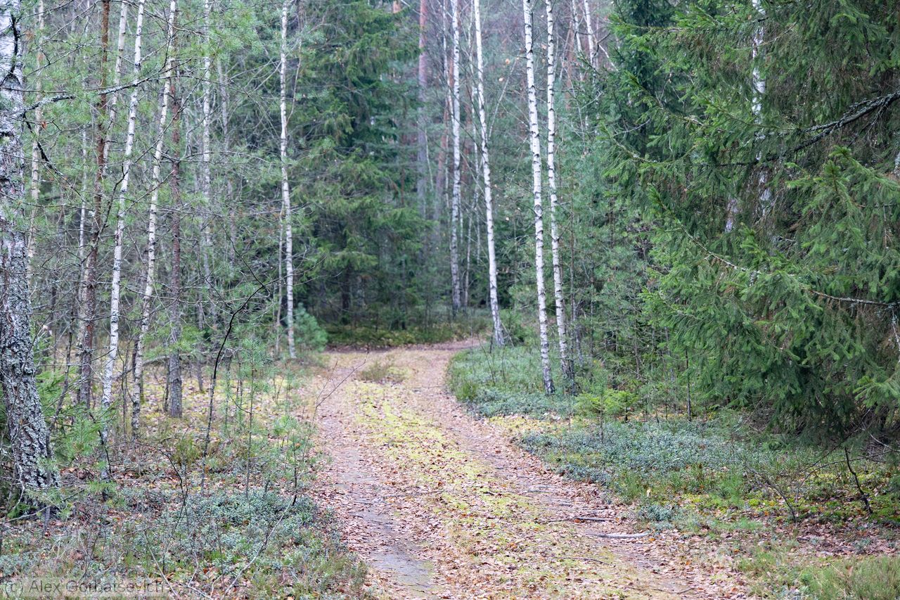 ������� ������� � ����