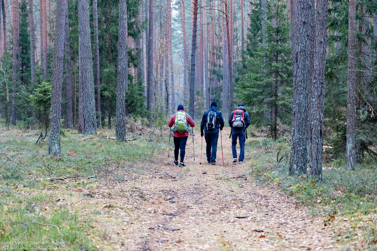 3 ��������