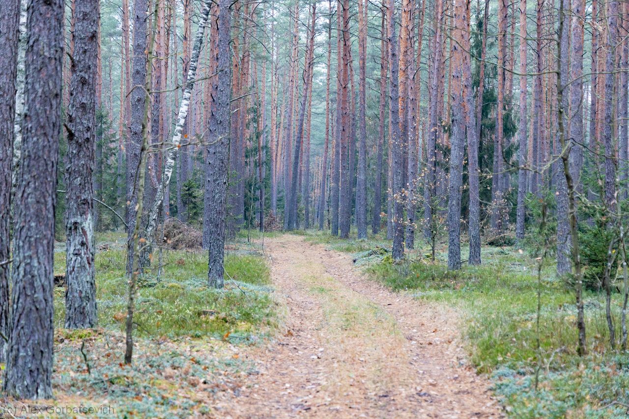 ������� ���