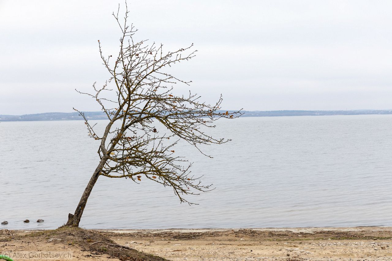 ����� �� ����� ������