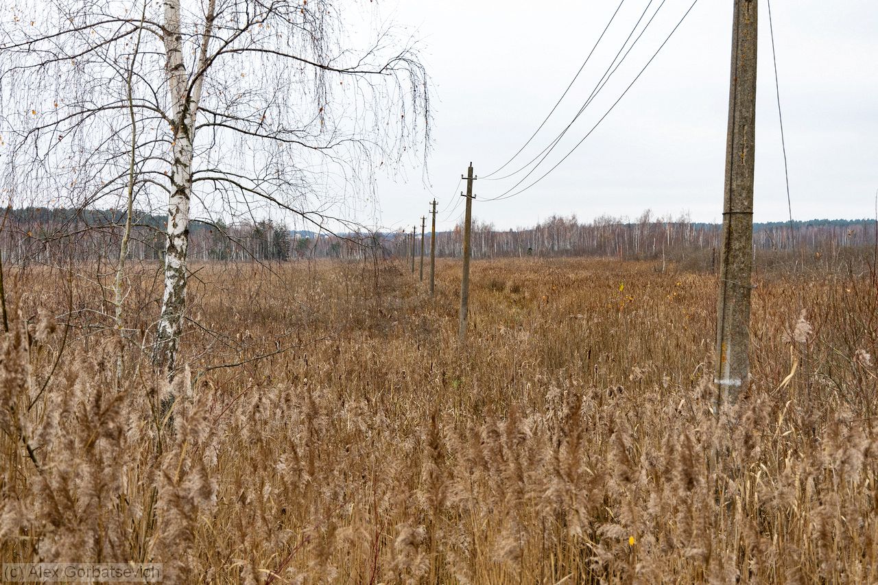 �������� ��� ����