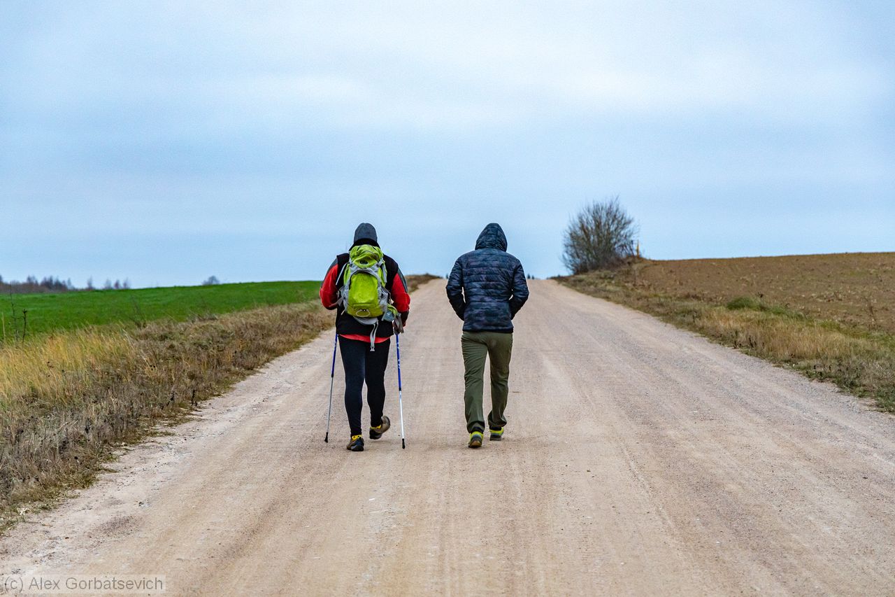 �� ������