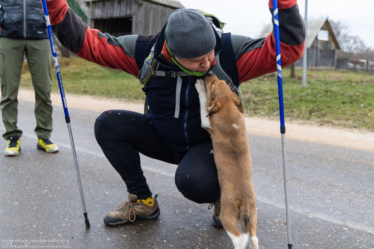 ������� ��������