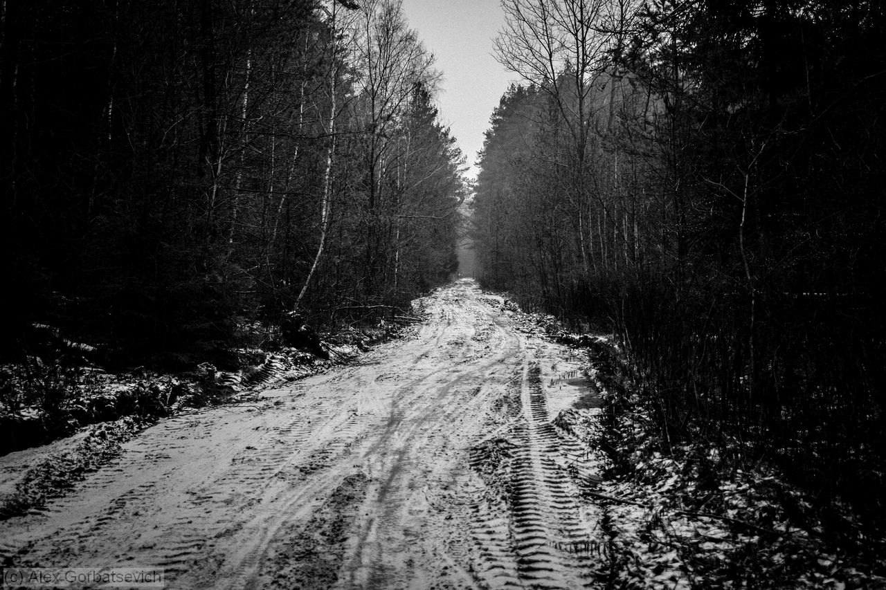 ������ � ����