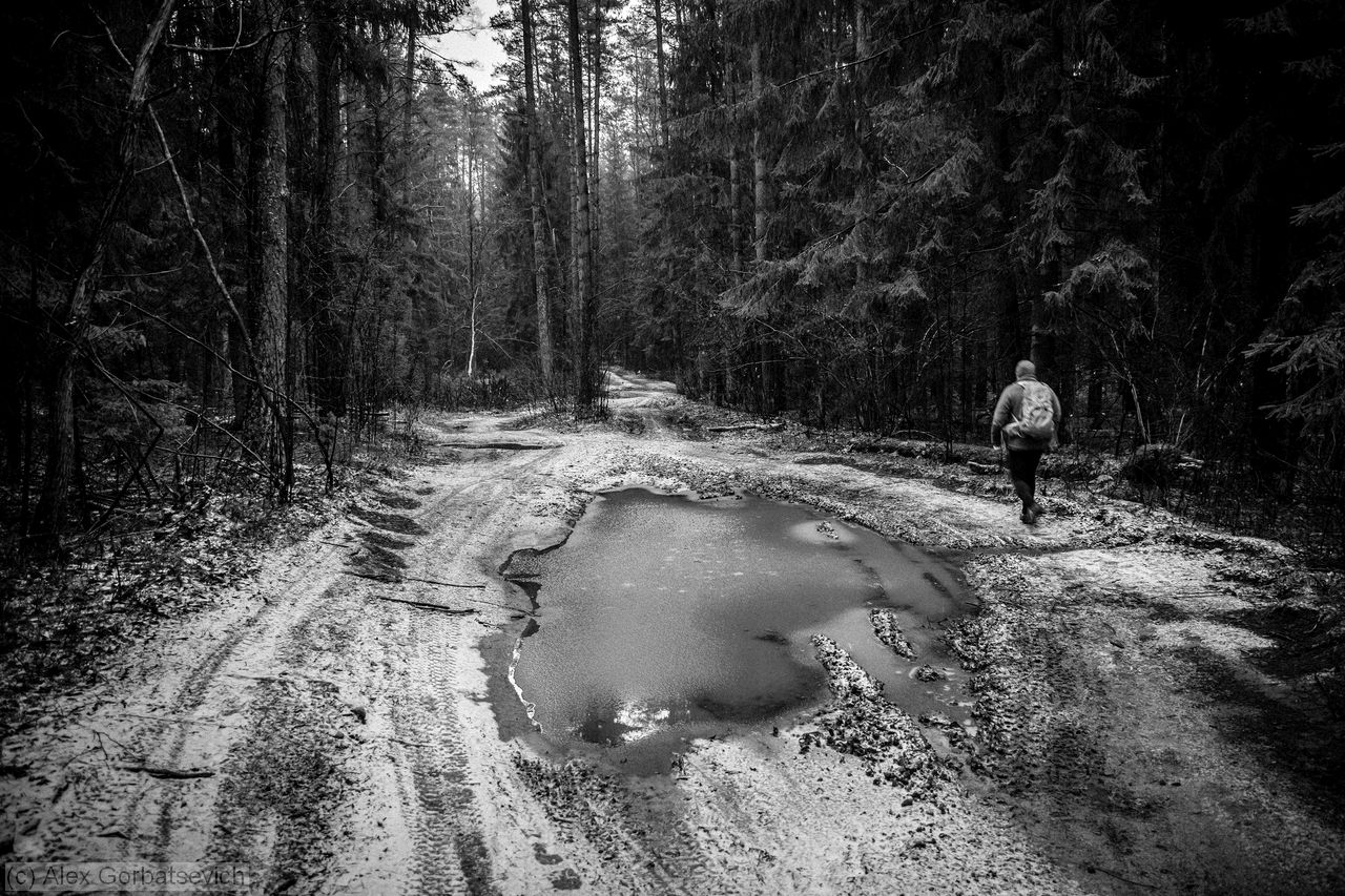 ����� ����