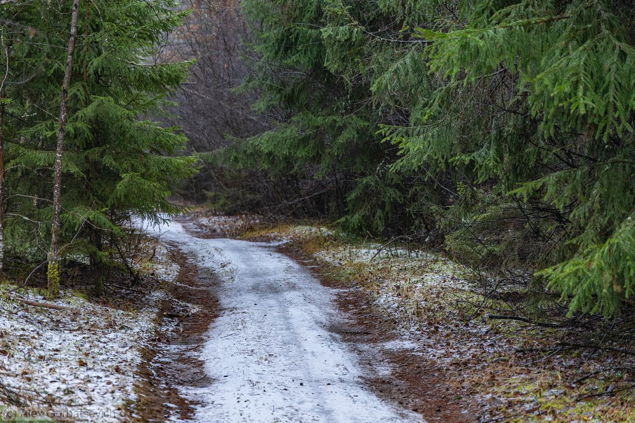 �������� ������ ���