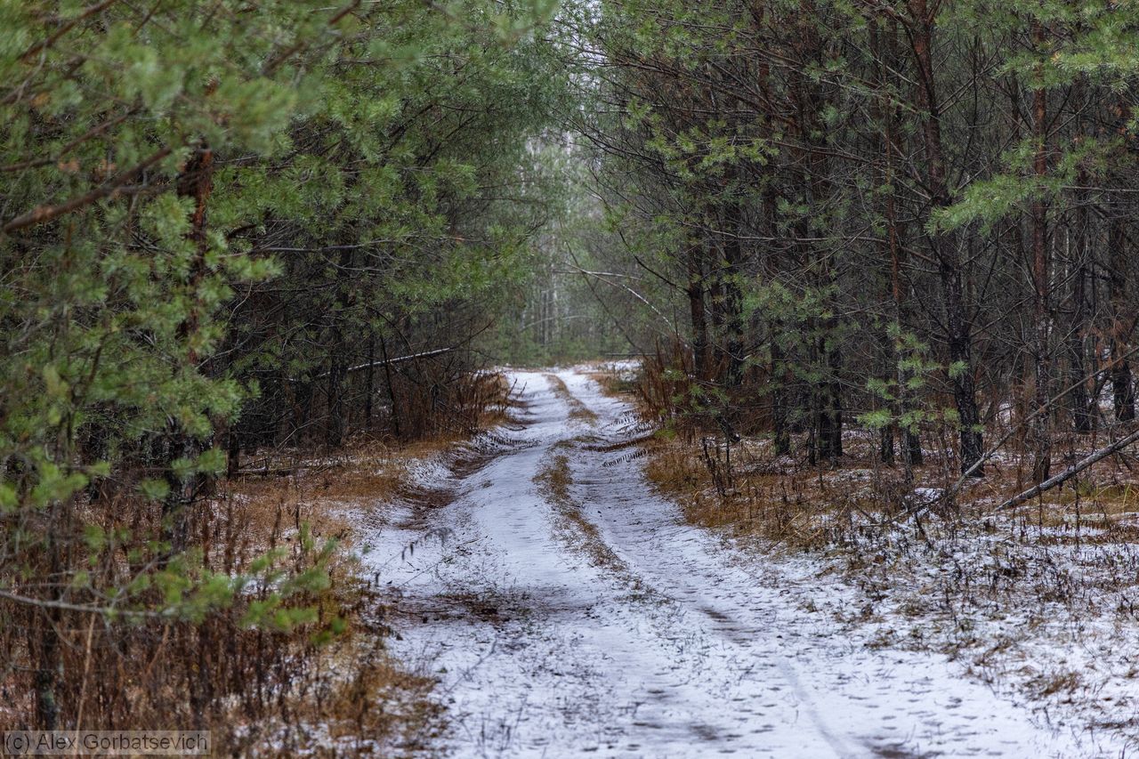 ������ ������