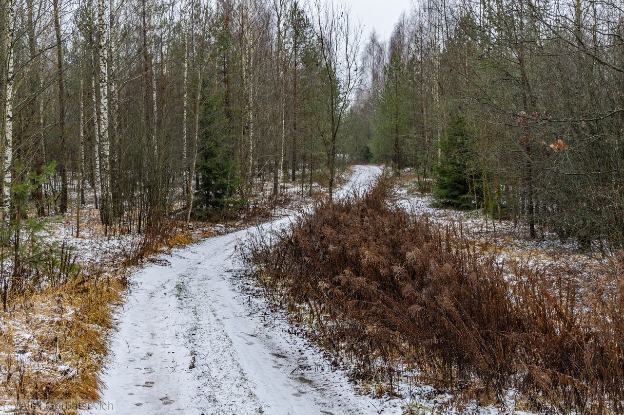 ���� ���� ��������� �����������