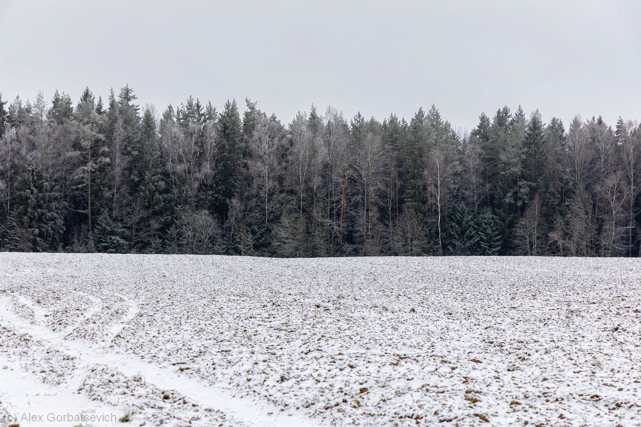 ������� ���