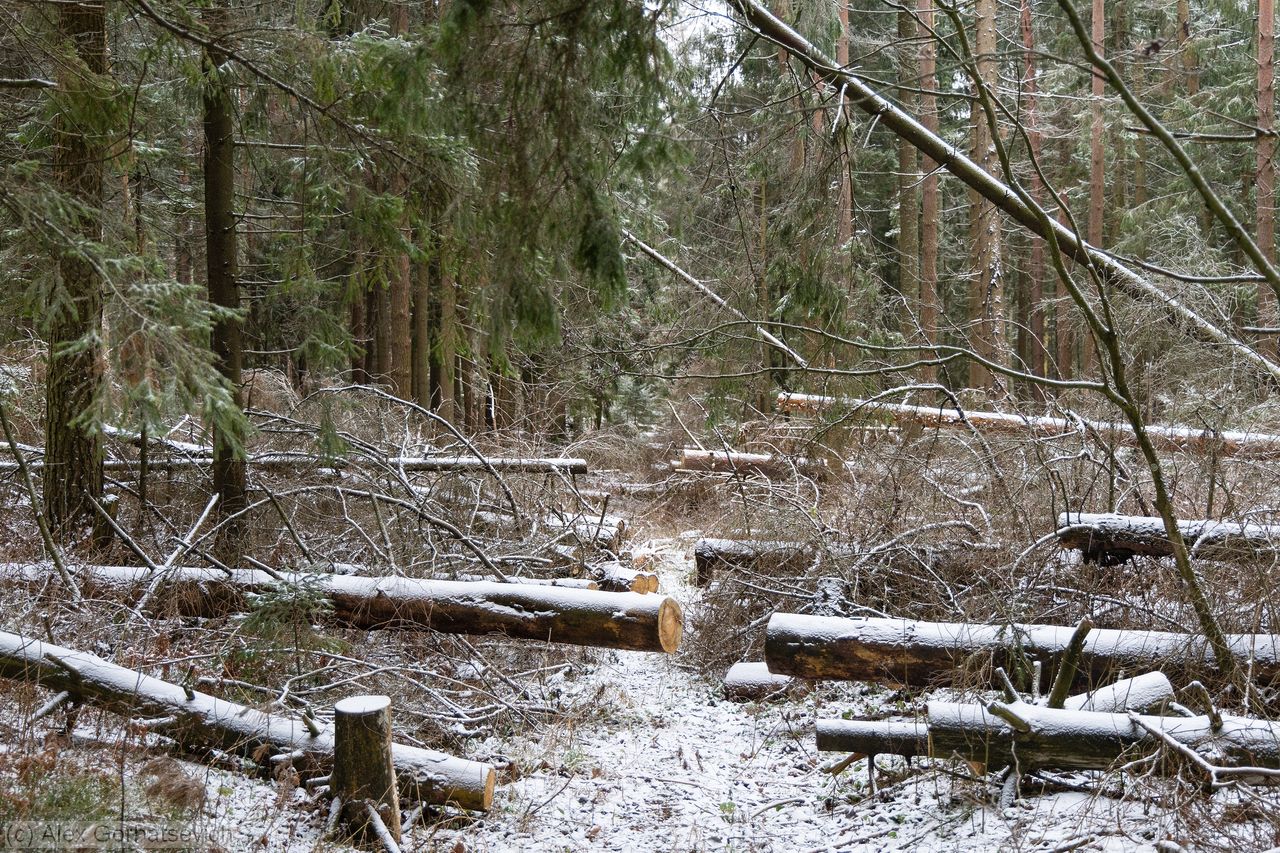 �������� ����� ������