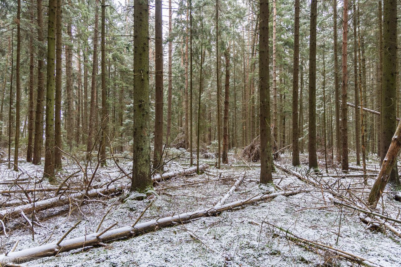 ���� � ����