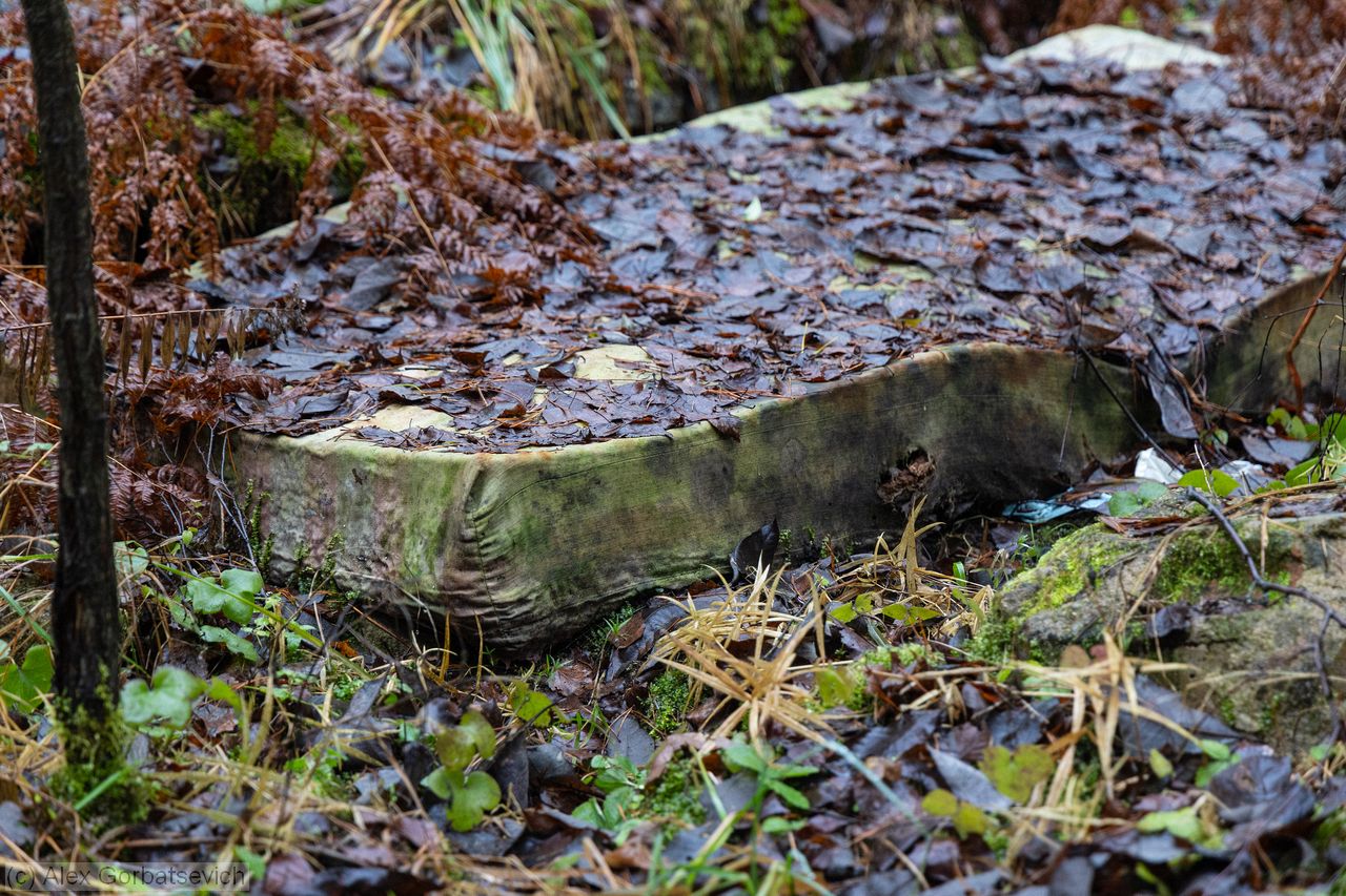 ����� ��� ������