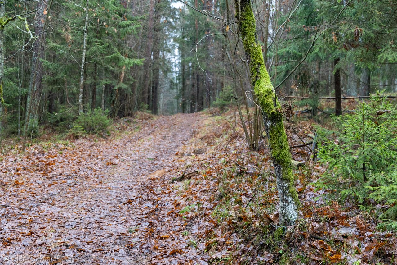 ���� �������� ������� ��������� ����