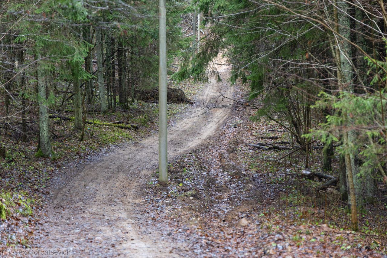 �����. ������ �����