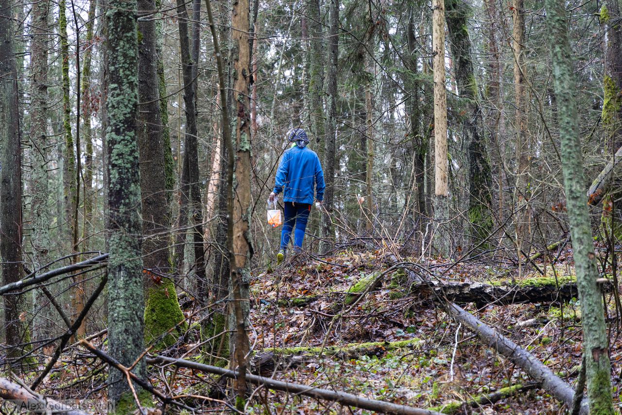 ������������� ���������