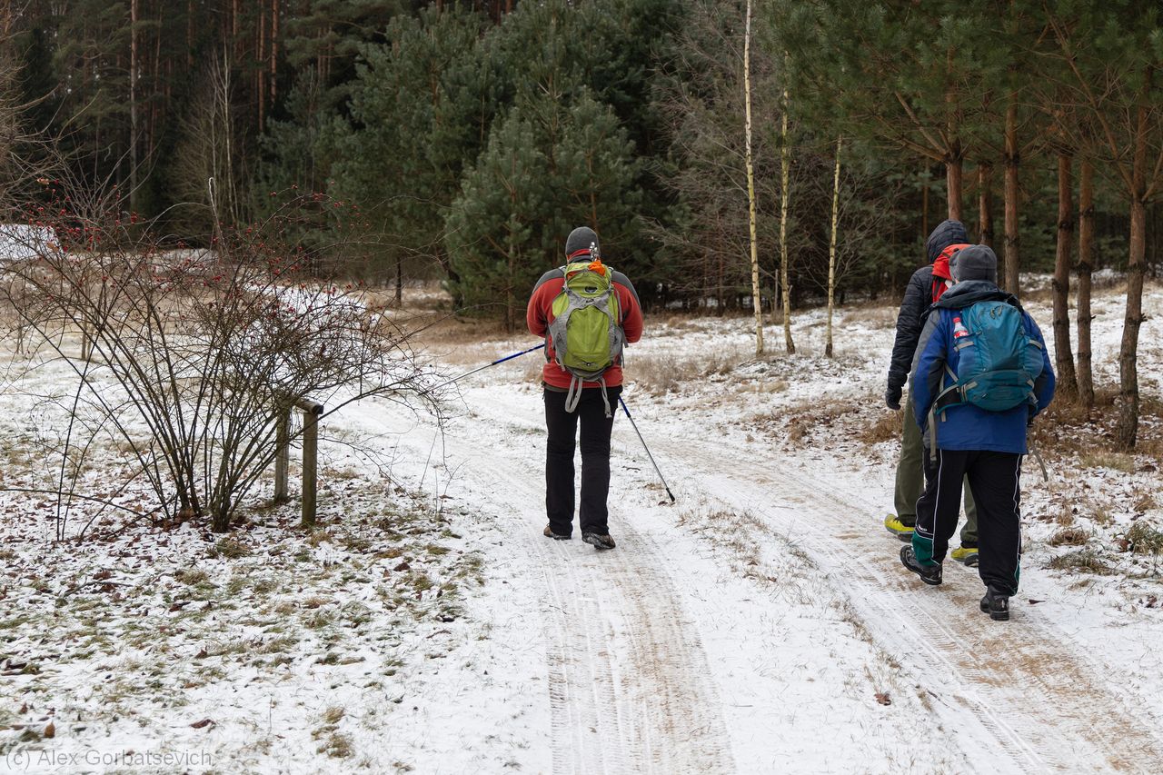 �� ������