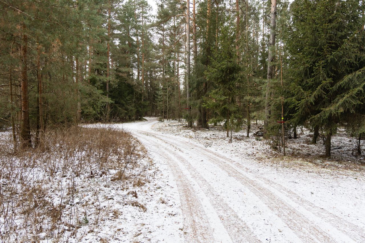 ������ ������