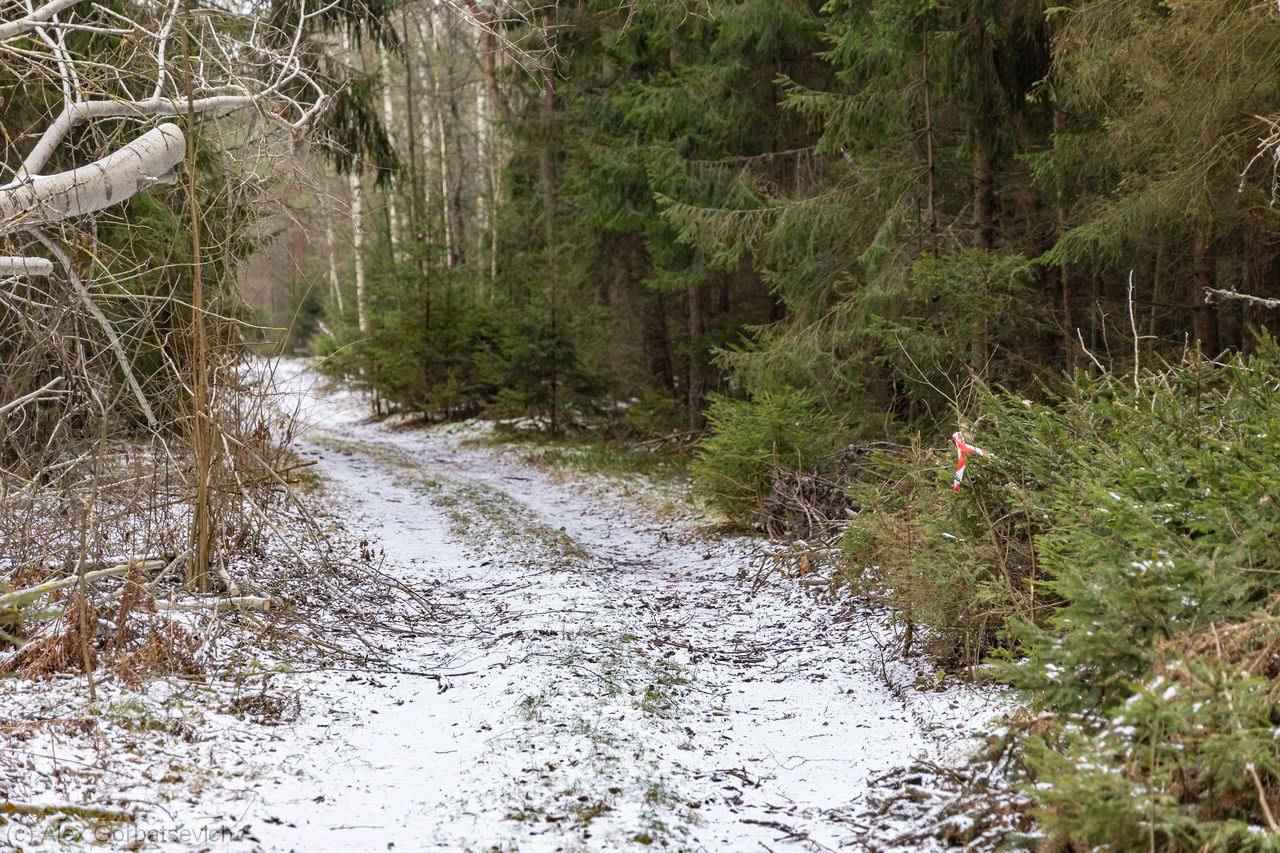 ���. ��������