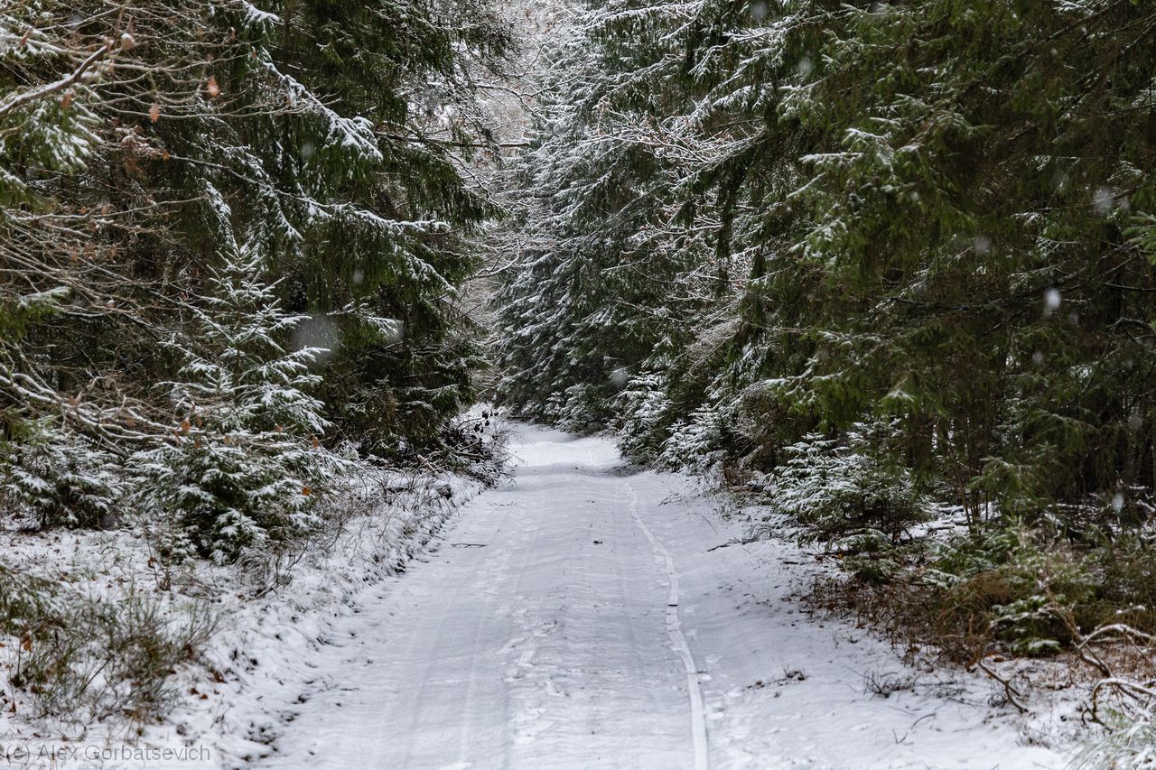 ���� � �������