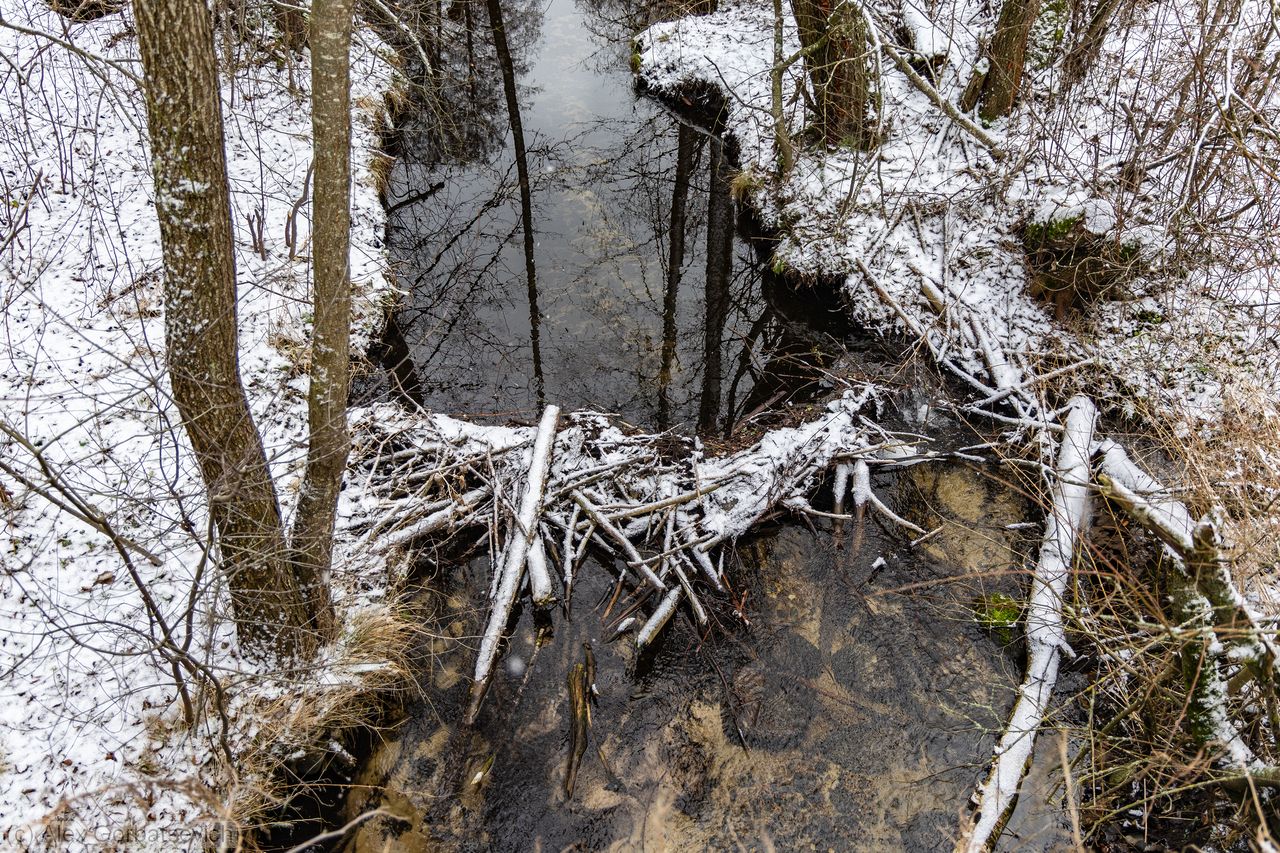 ��������� ��� ��� IceTraila