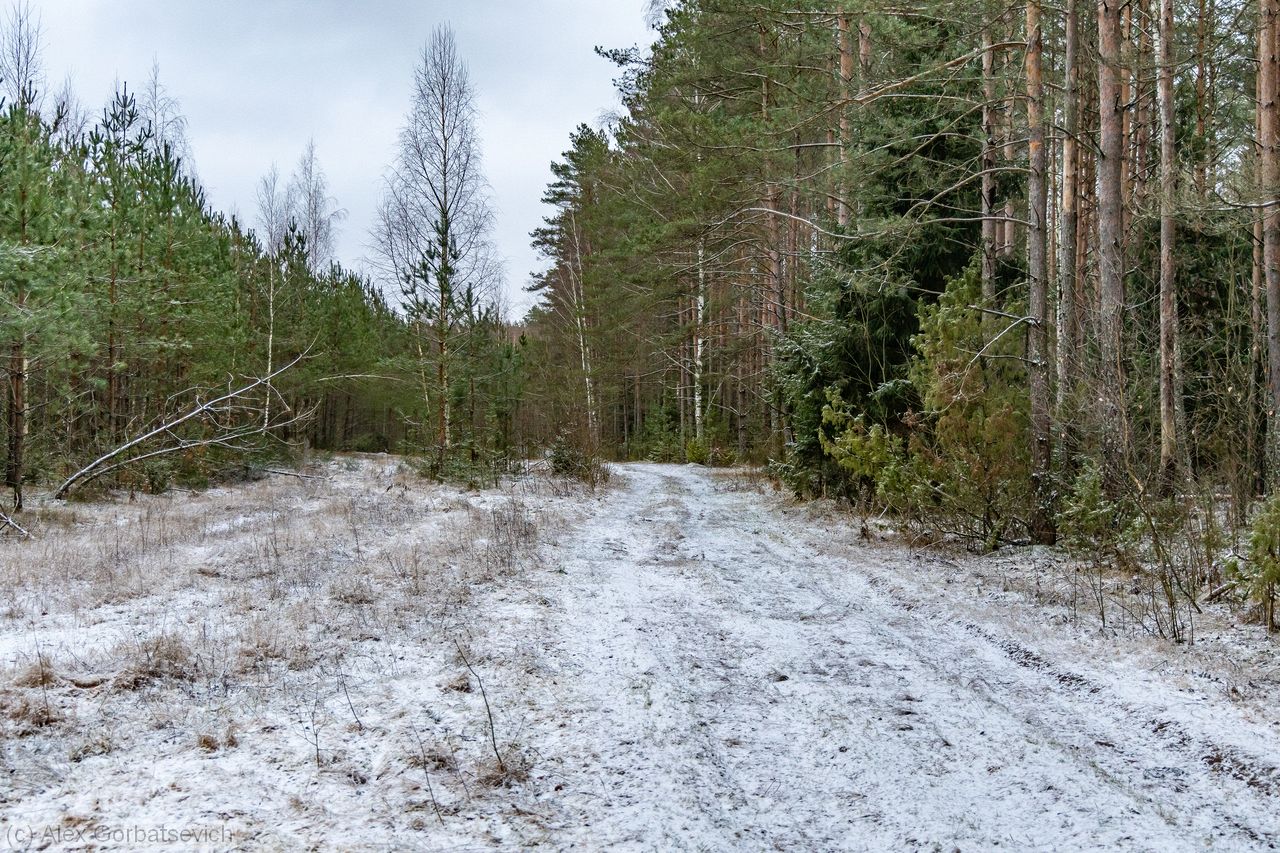 ������� ����