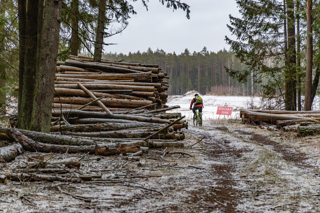 ������ ����