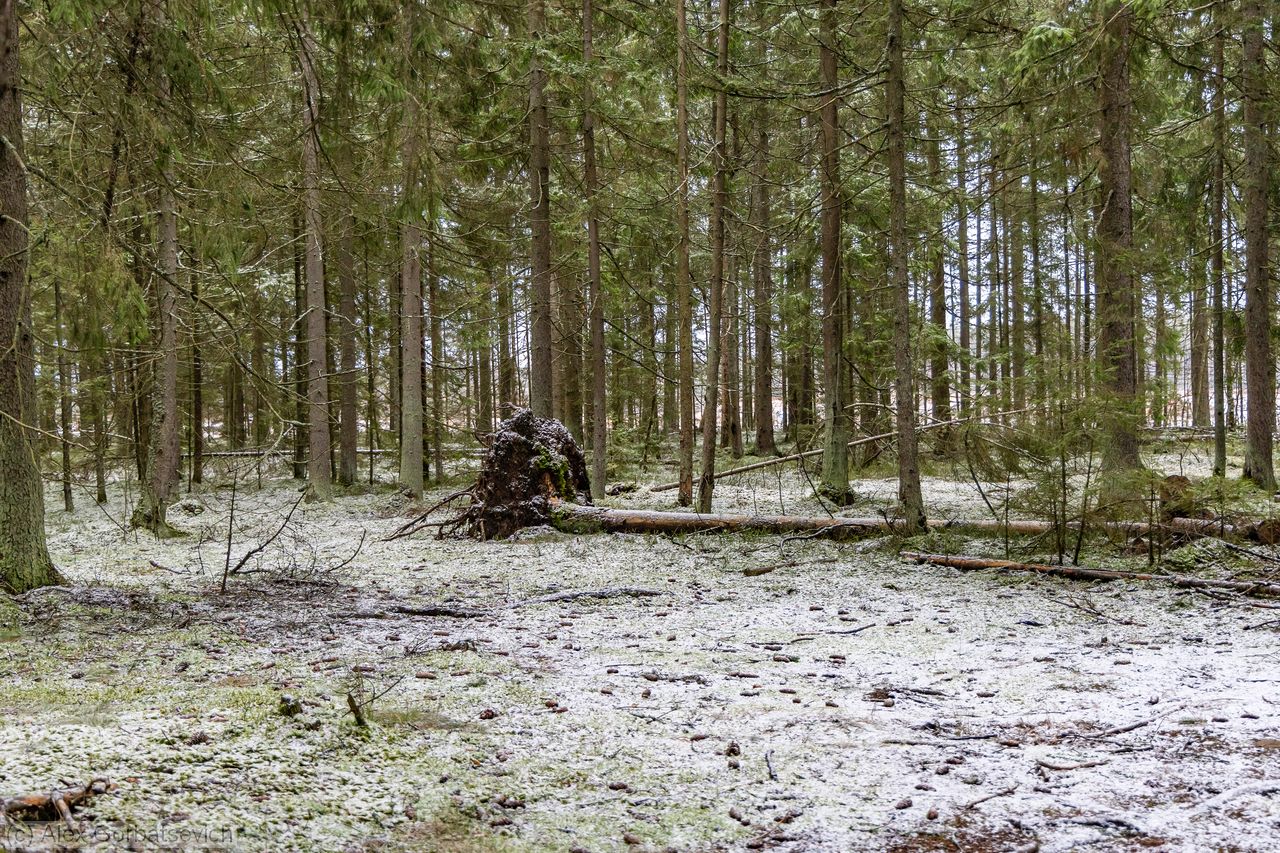 ����������