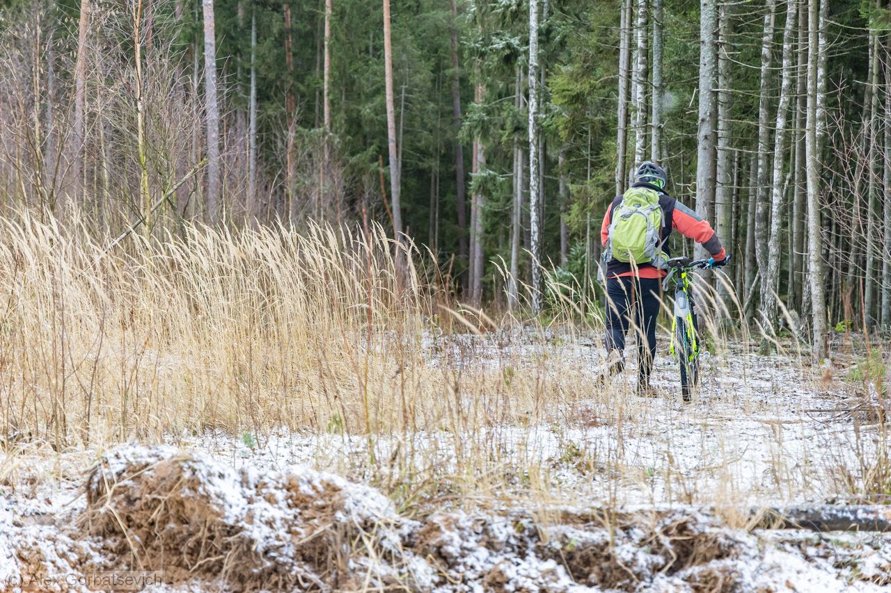 �� �������