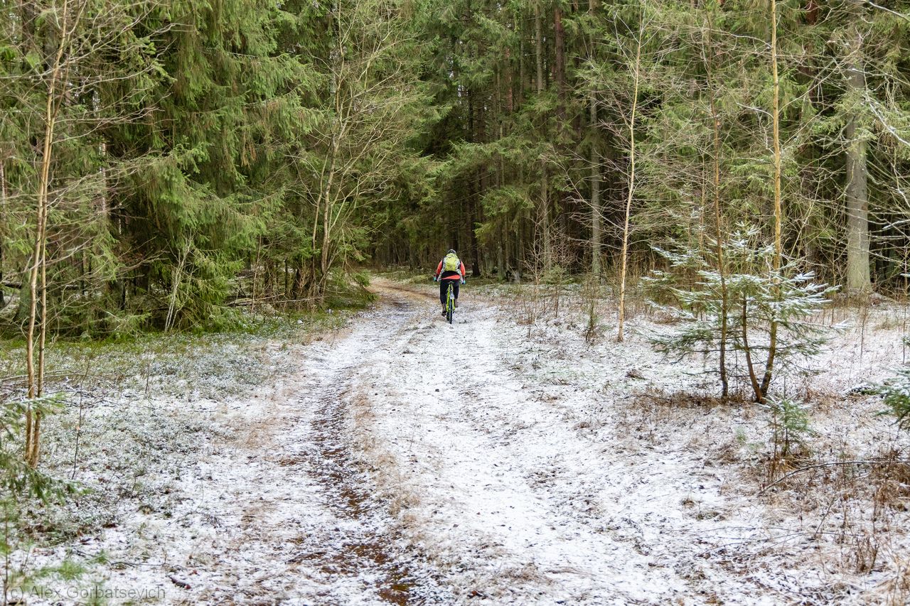 �� ������ ������