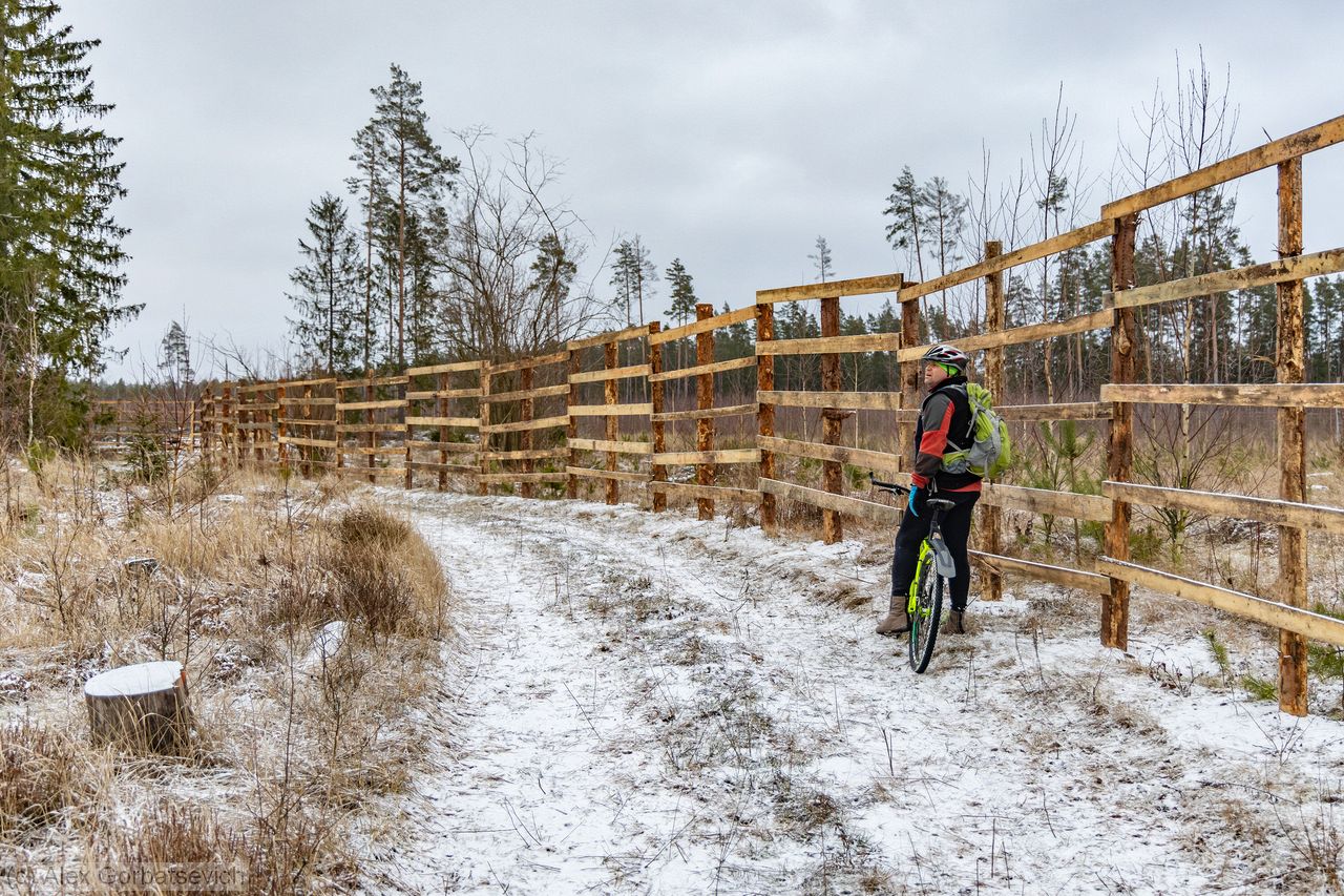 �� ������ ��� ���-�� �����