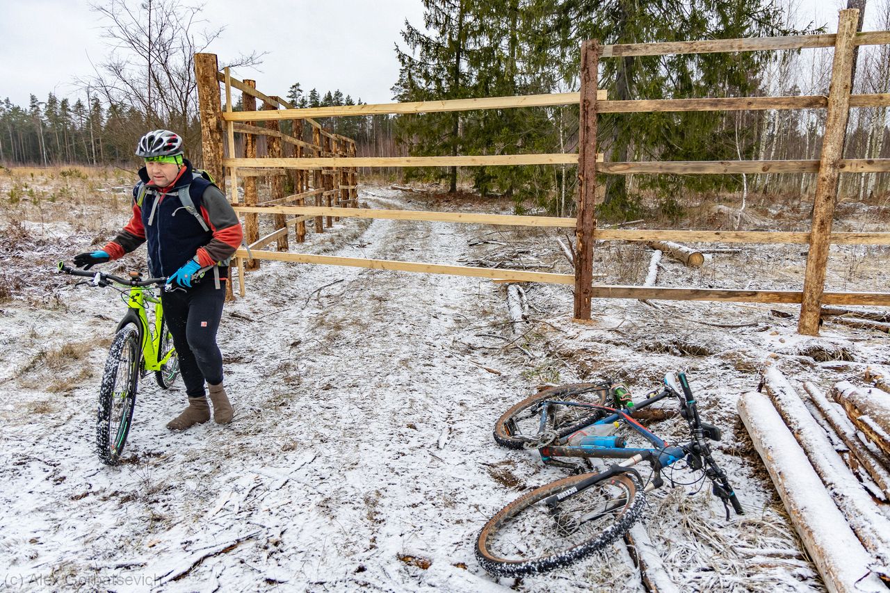 ����� ������