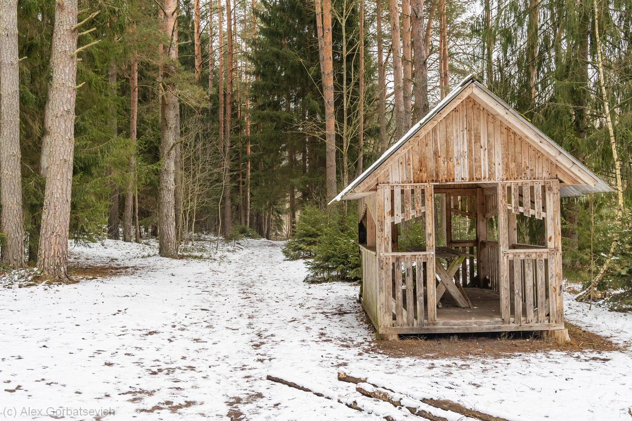 ��������� �����