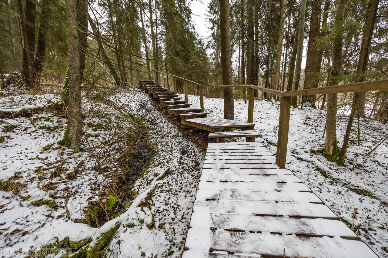 �� �������