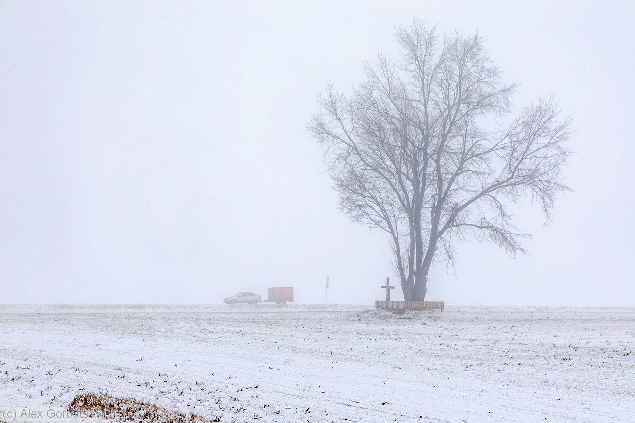 � ��������� ����