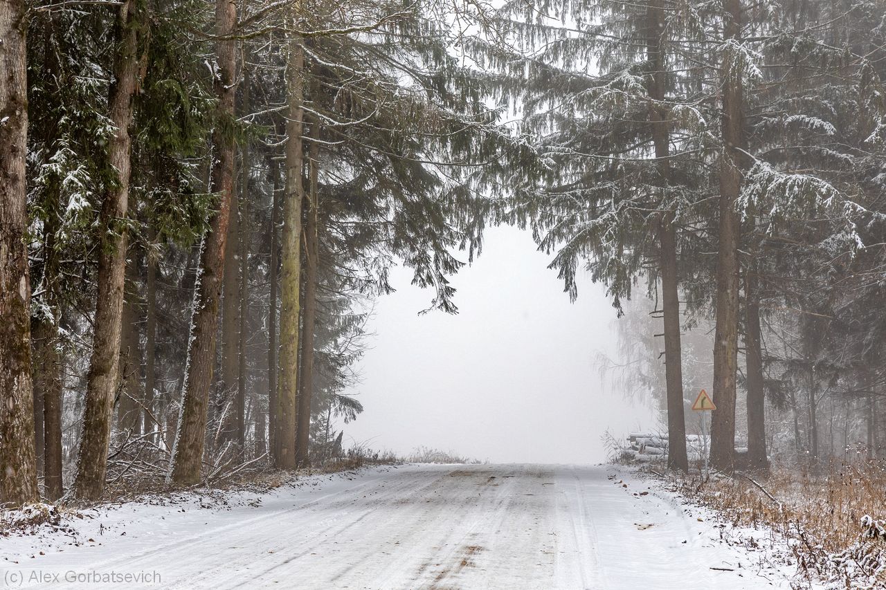 ����� � ����������