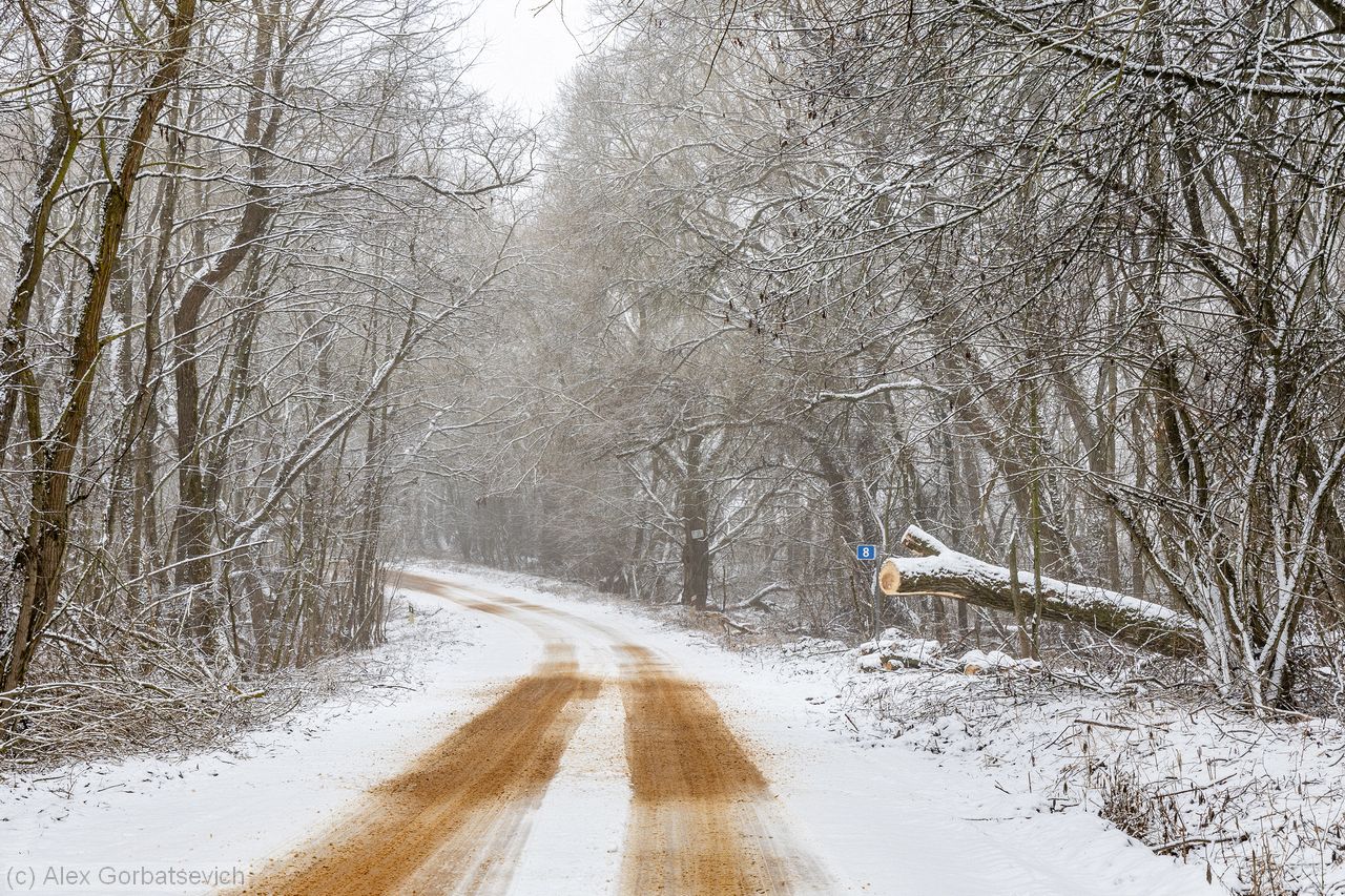 ������ � ��