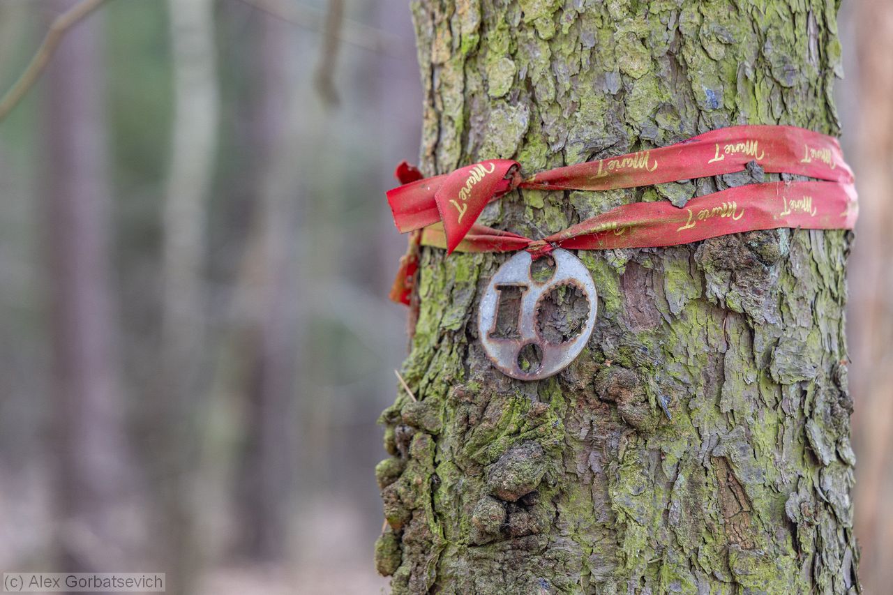 ������ 10 ���...