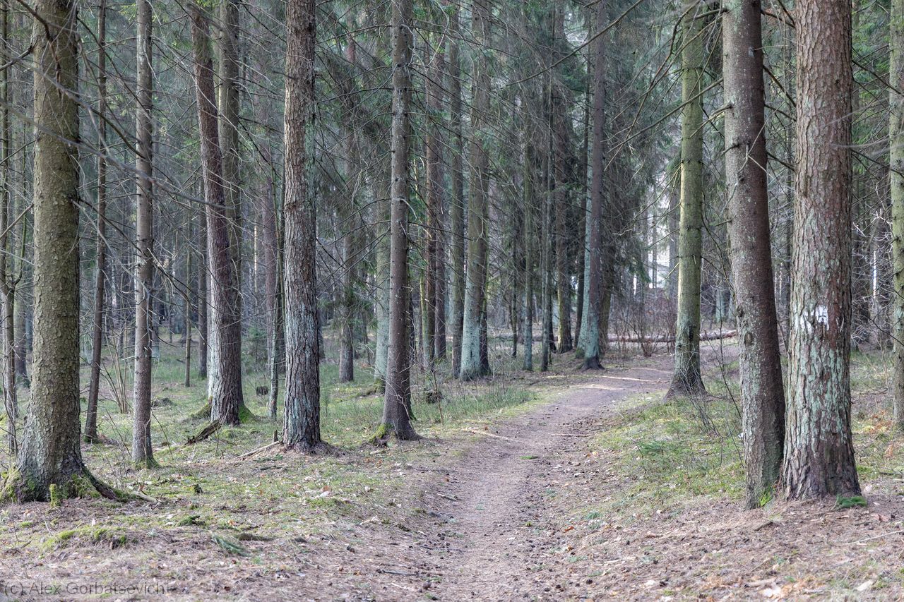 �������� � ����