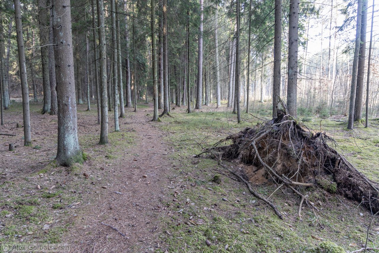 �������� � ����