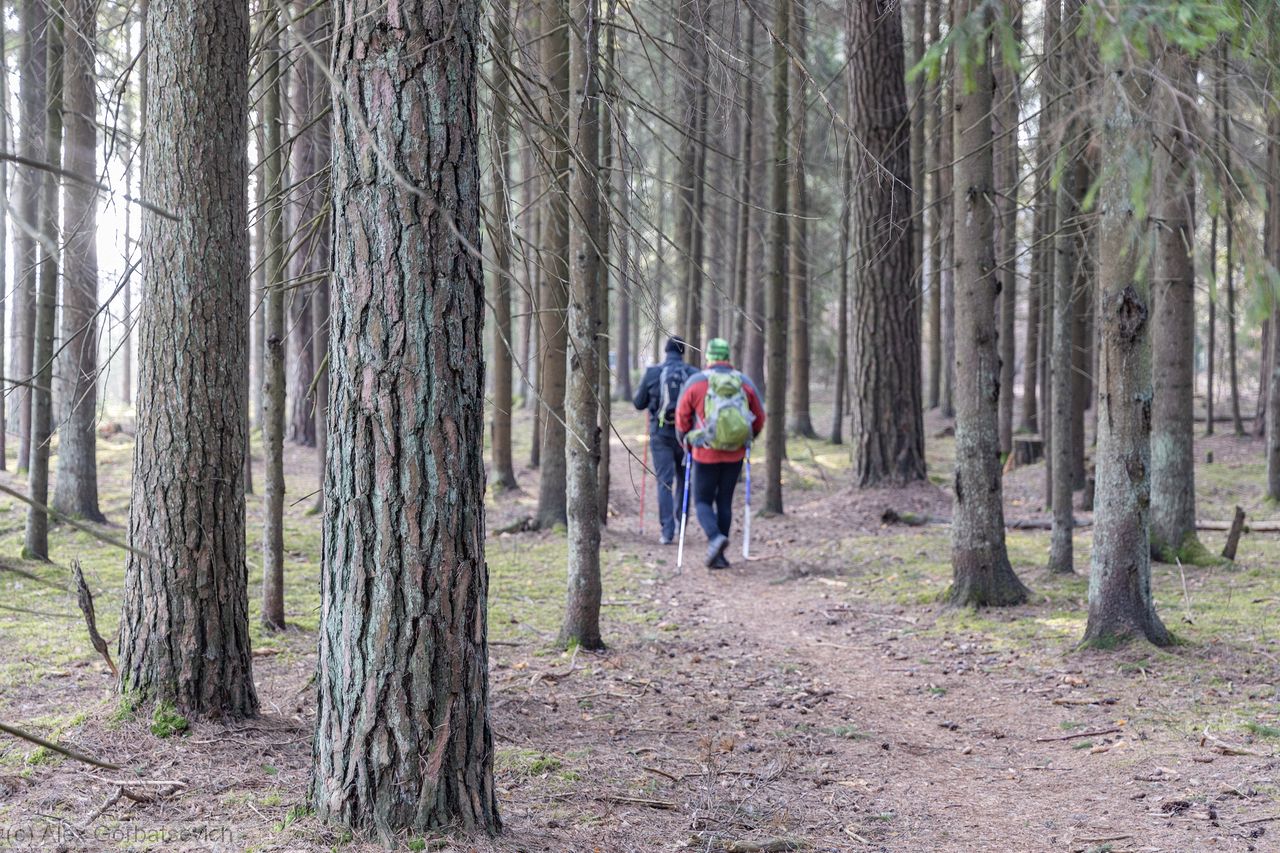 ����� ���