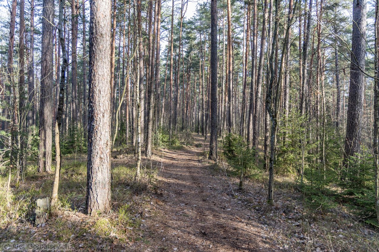 ������� � ����