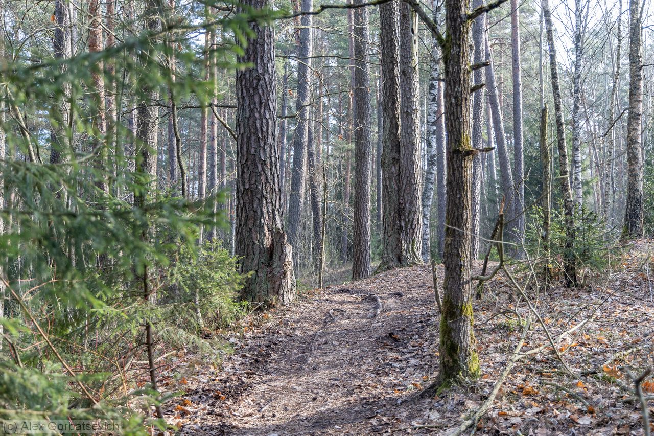 �������� � ����