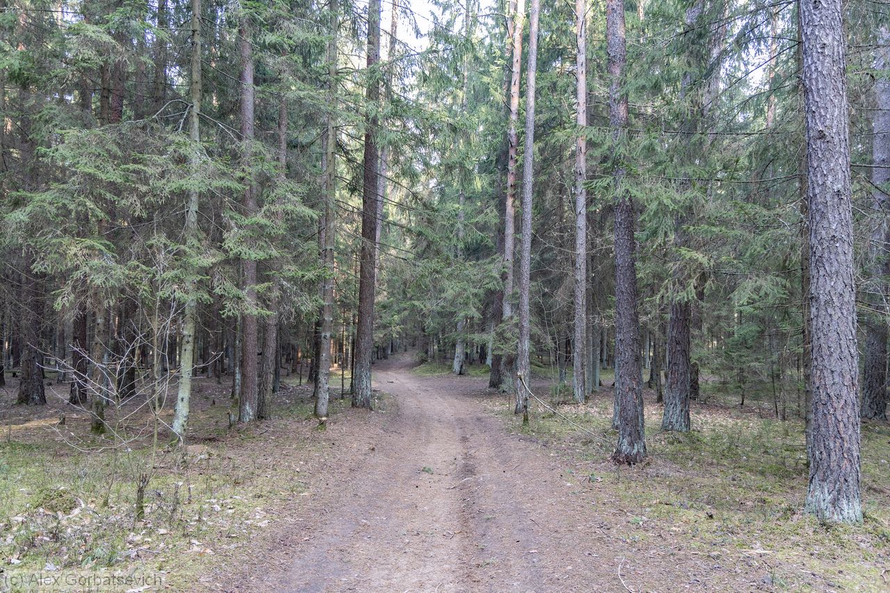 �������� � ����