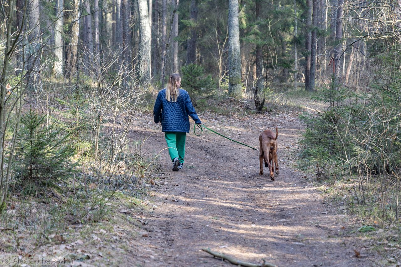 ���� � ��������