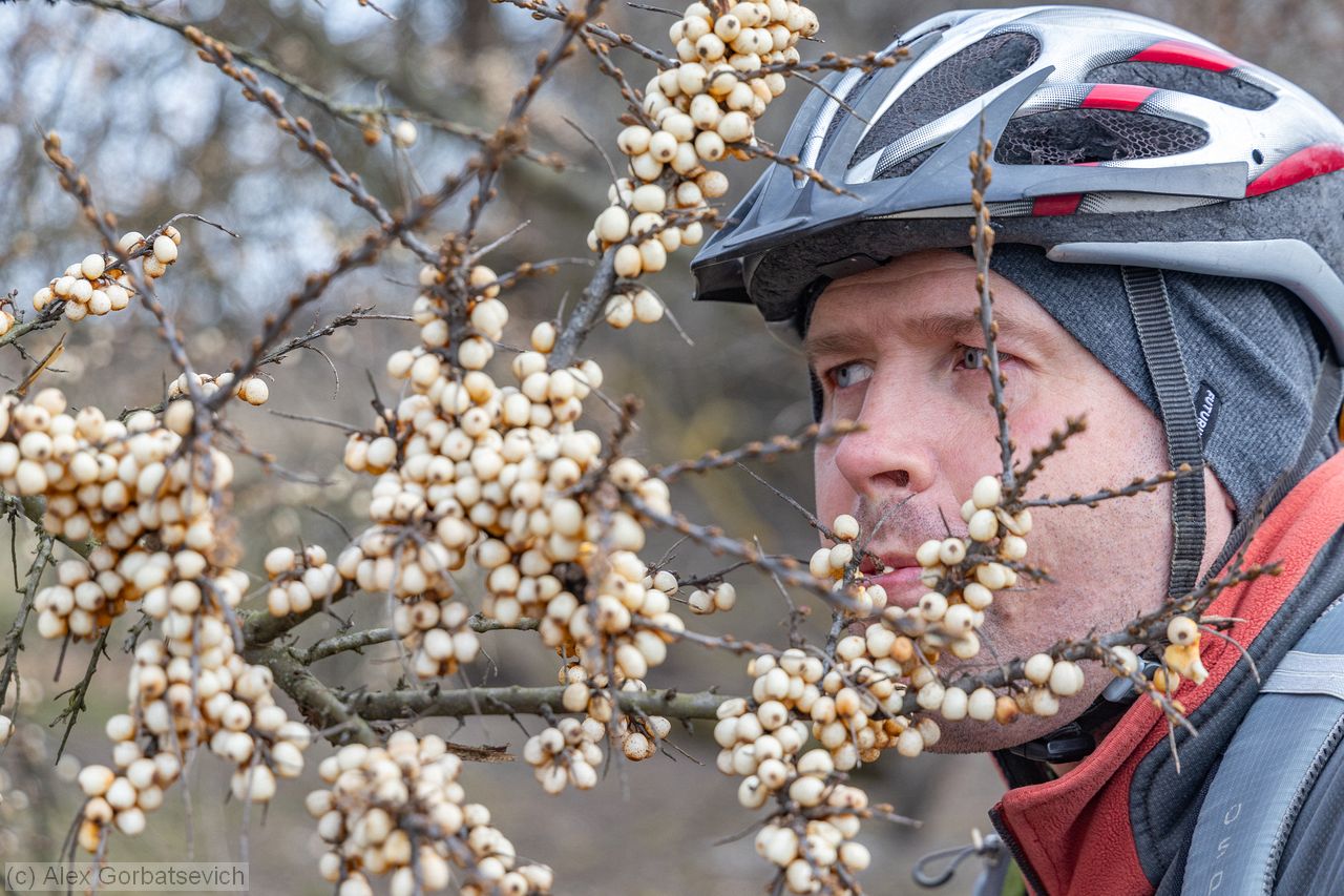 ����. ����������