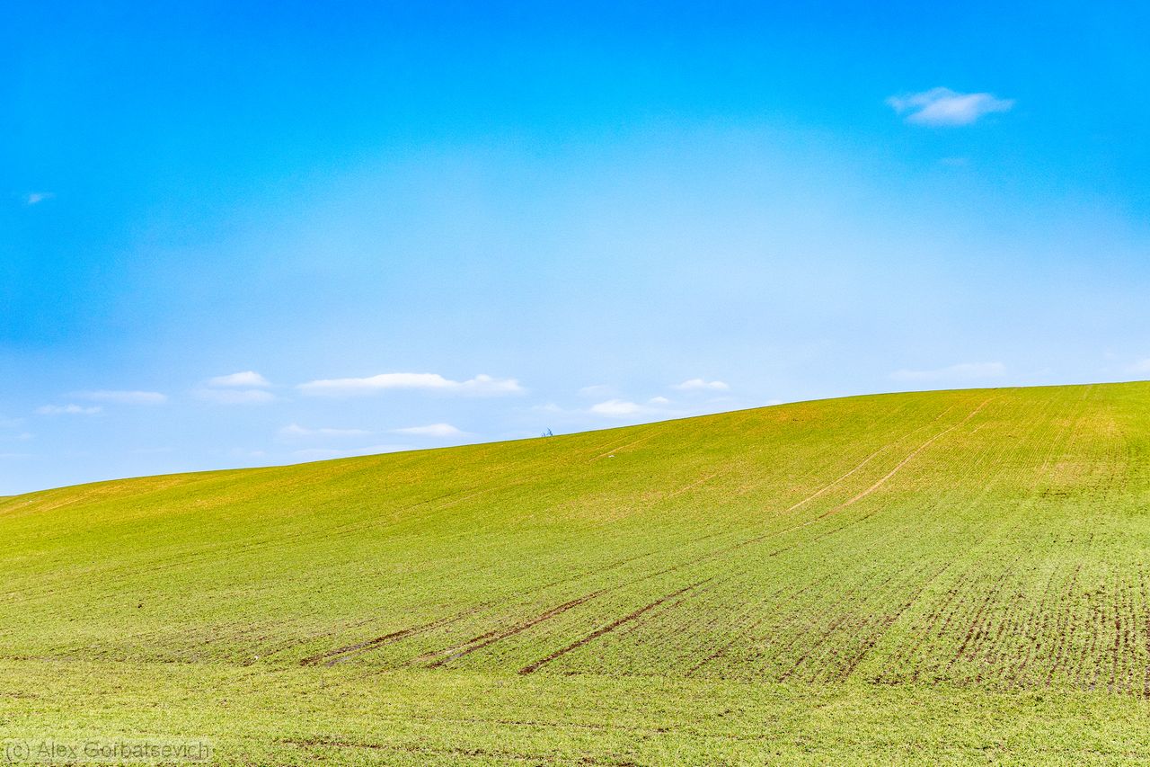 windows xp