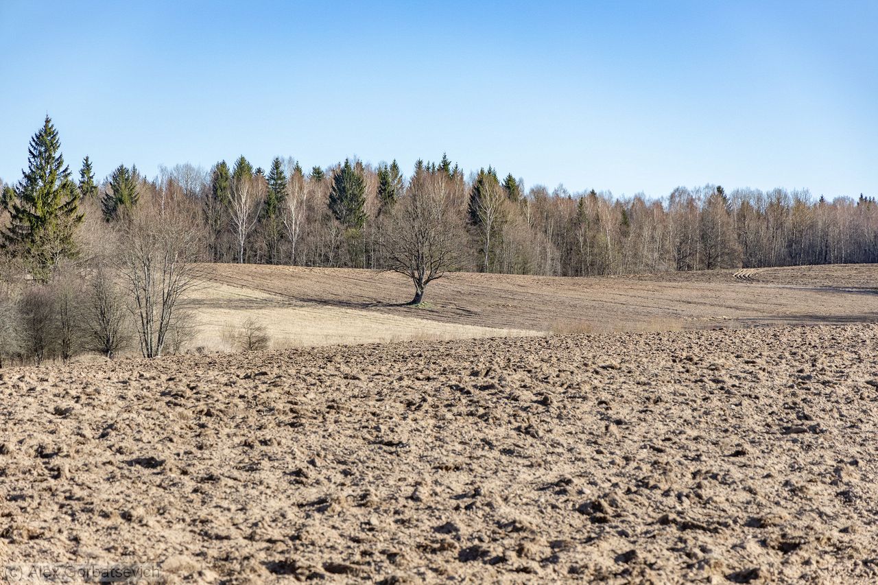 �������� ������