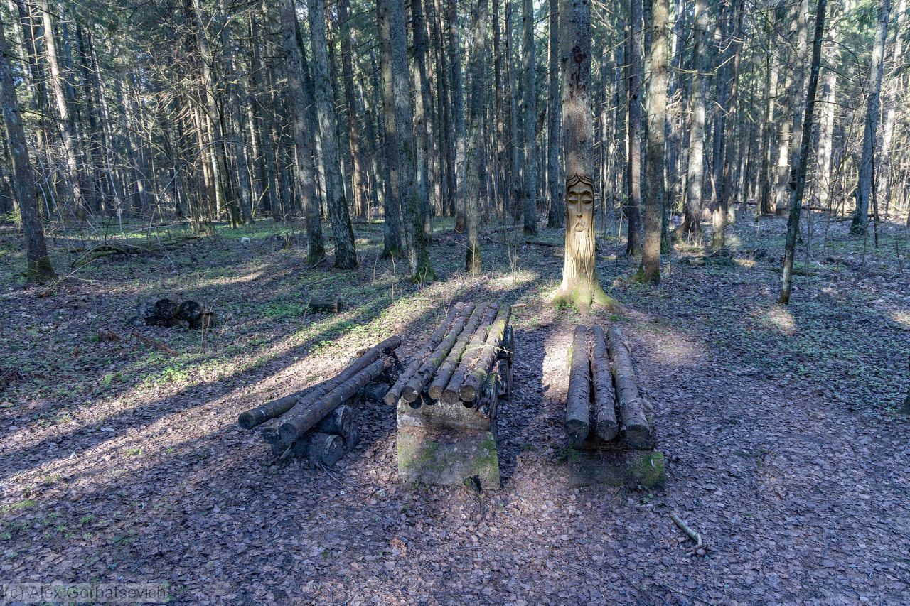 ��� ������� �����