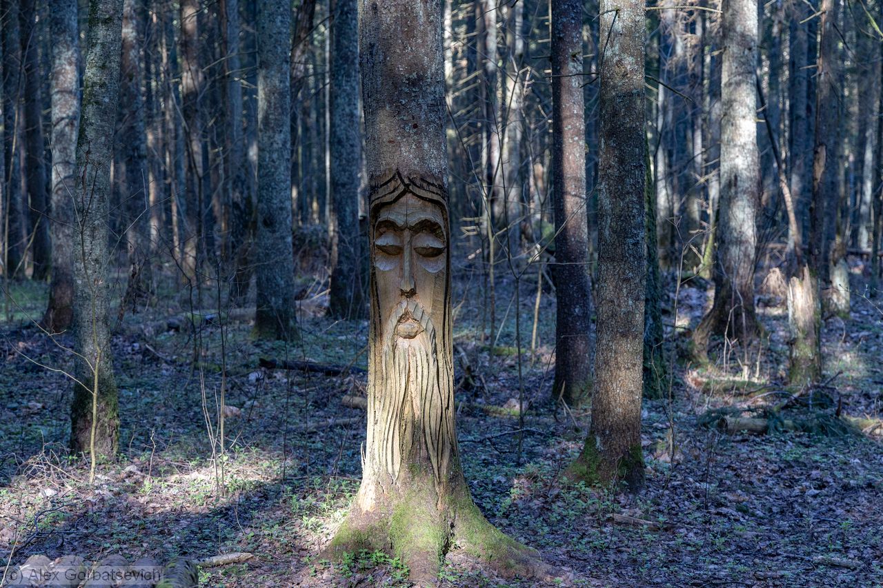 ����. ���� ��� ����� ��������� ���������� �������