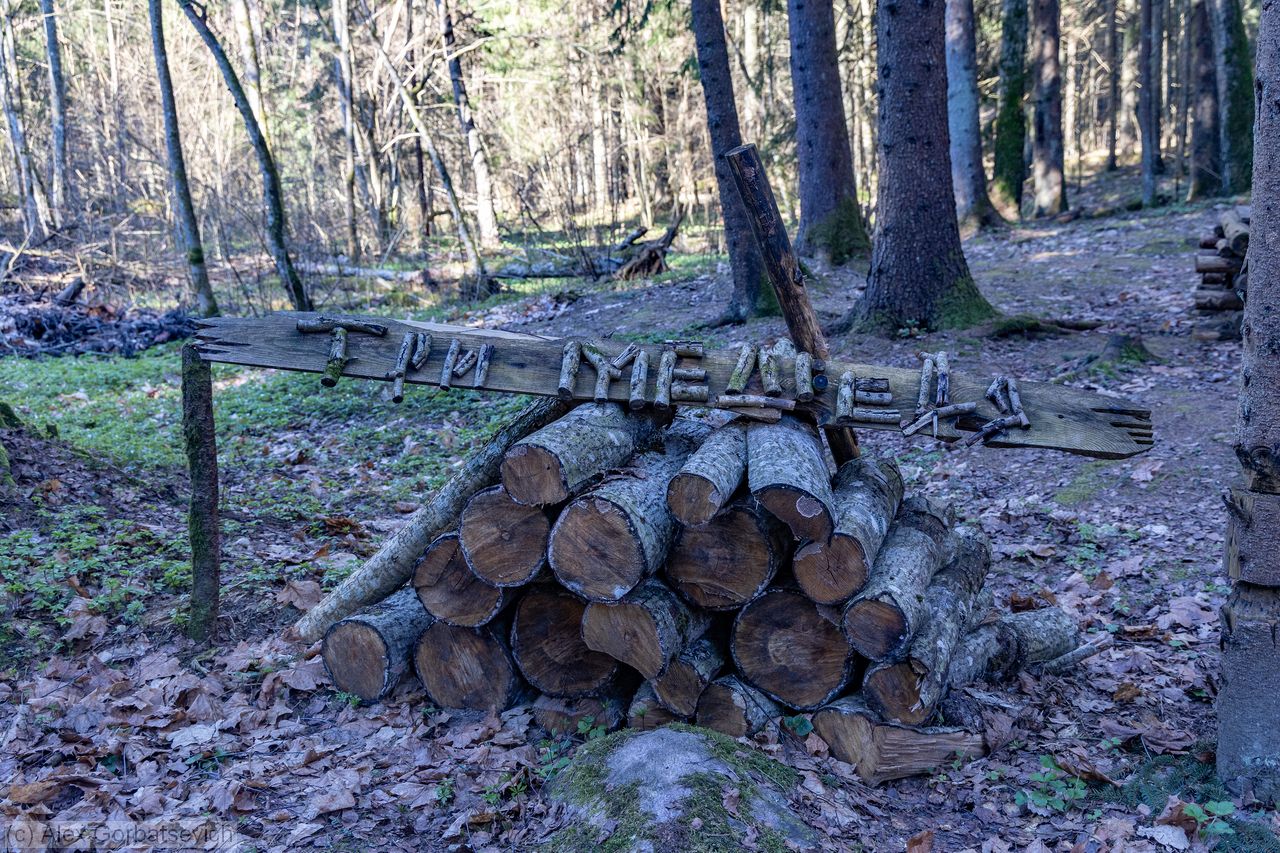 3 �������, � ���� ����